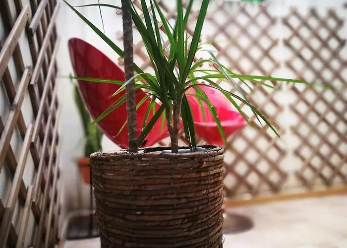 Center Where Falla Starts Apartamento